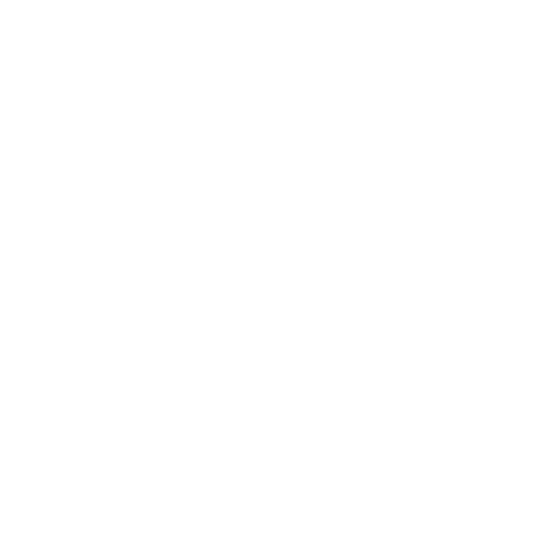 Falena Studio logo