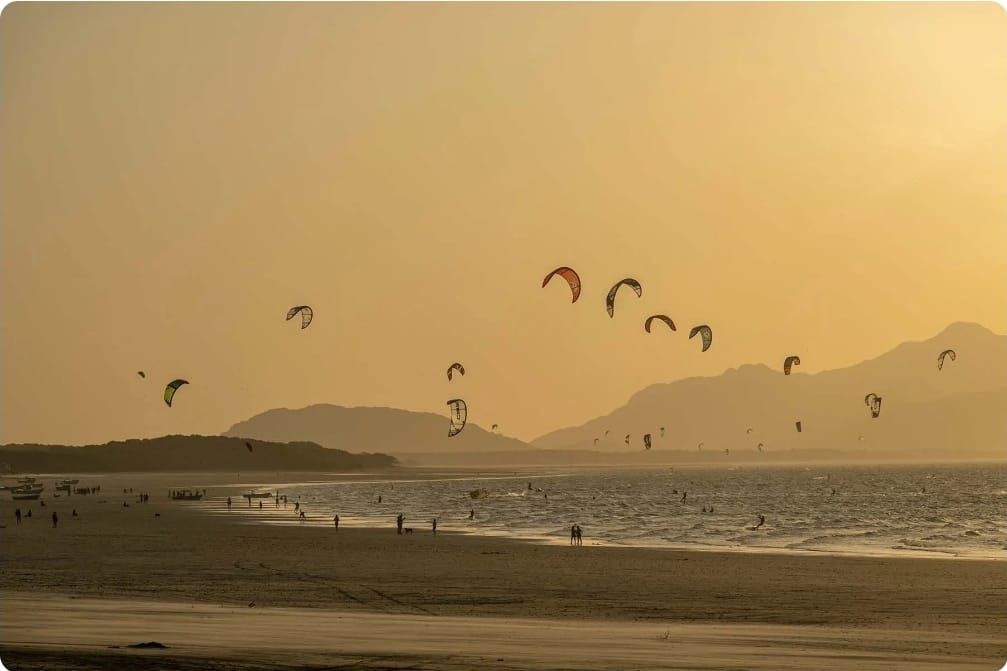 MACHETE WING, KITE AND FOIL — 2